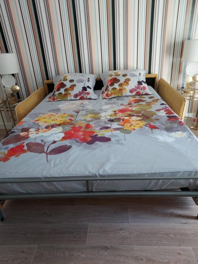 Rez-De-Chaussee Privatif Spacieux 3* D'Une Villa Centre Ville Йер Экстерьер фото
